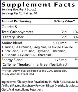 Energized Aminos Raspberry Iced Tea 360g – 40 servings